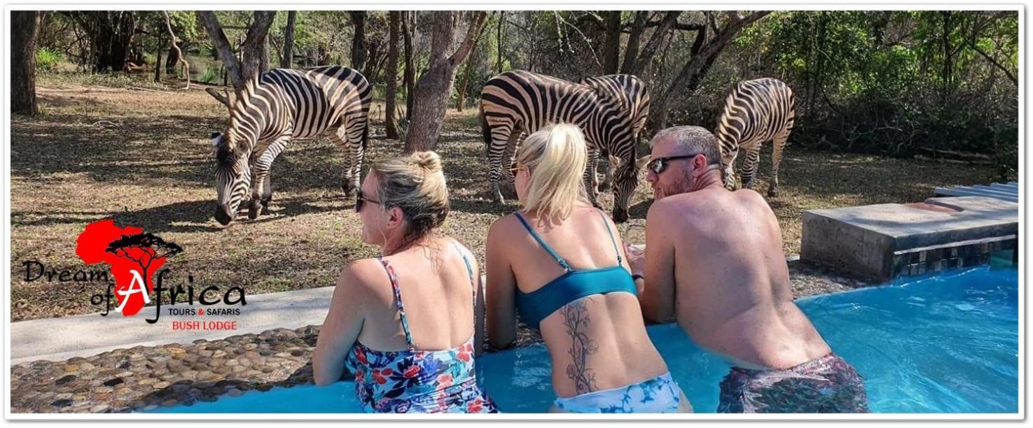 Dream Of Africa Bush Lodge Marloth Park Buitenkant foto