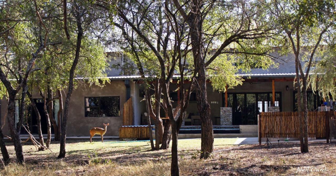 Dream Of Africa Bush Lodge Marloth Park Buitenkant foto
